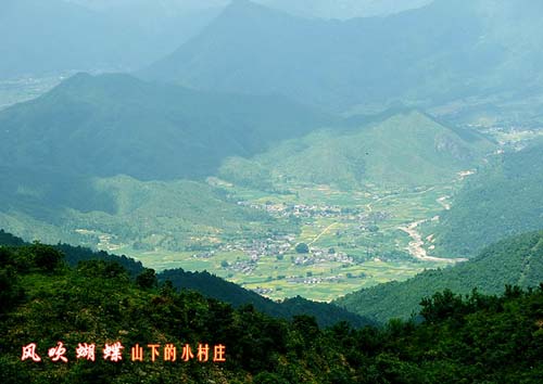 风吹蝴蝶